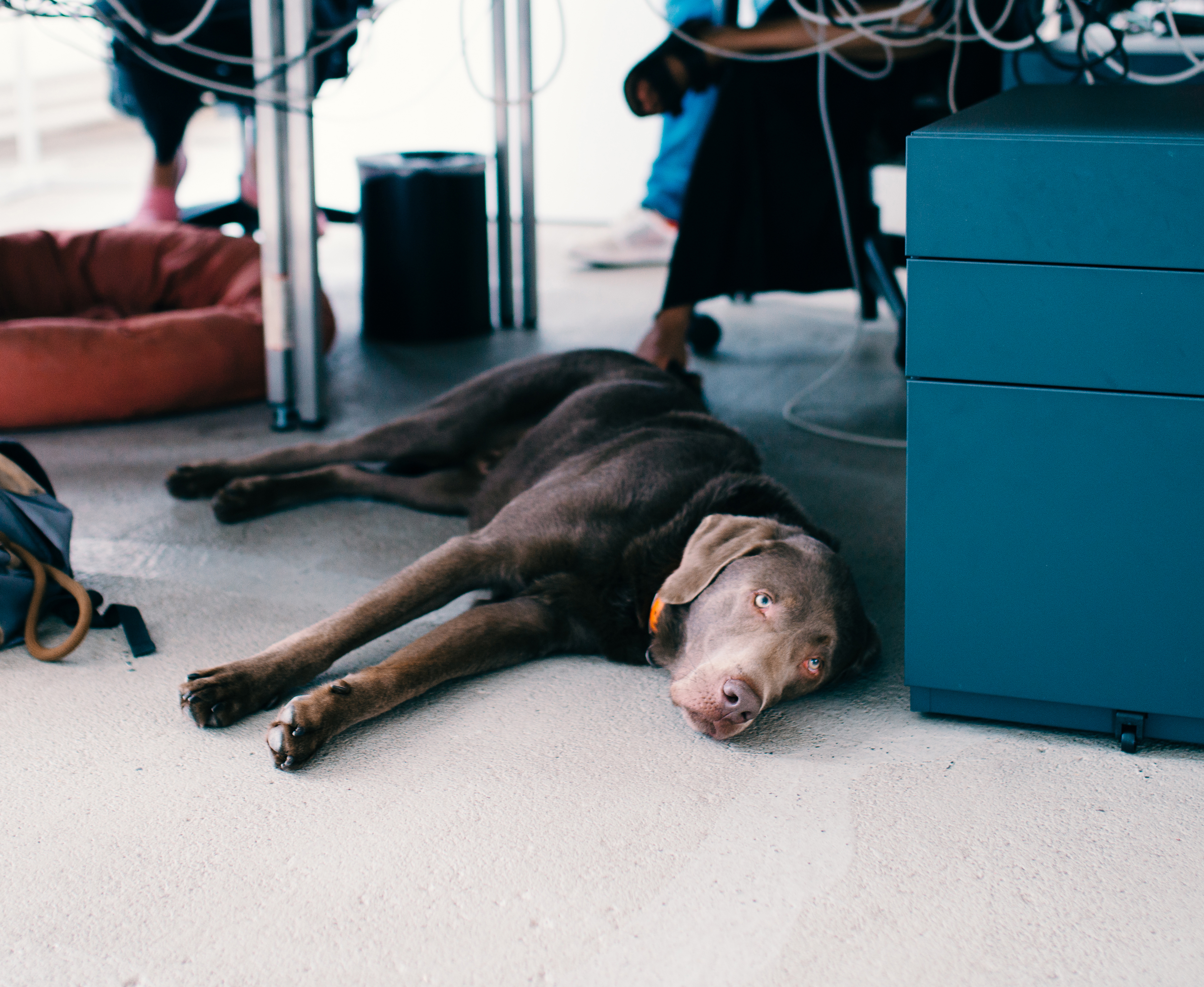 jobseite_agencylife_berlin_06.jpg