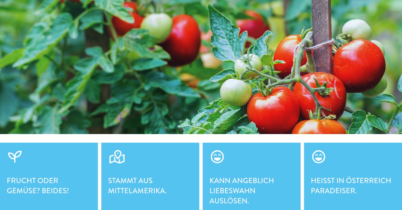 ALDI_DETAIL_tomate.jpg