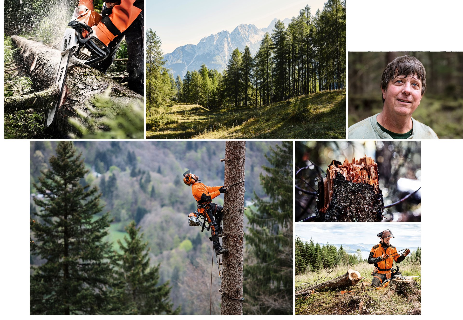 _0002_SV_STIHL_Mood_Forst.jpg
