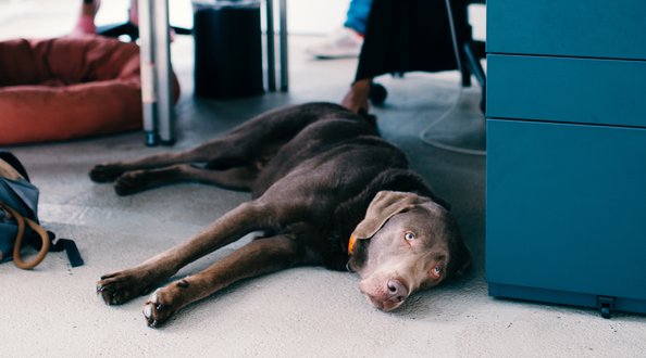 jobseite_agencylife_berlin_06.jpg